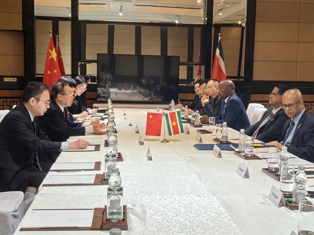 Liu Jingzhen meets with Surinamese president