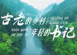 Sino Pharmengin Corporation sends employee to assist in rural revitalization